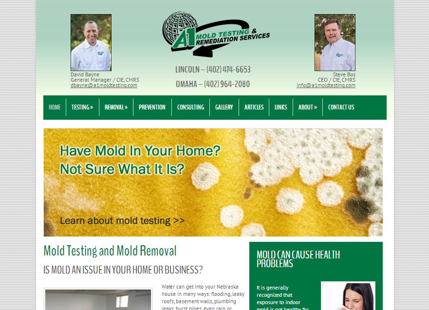 A1 Mold Testing new web design